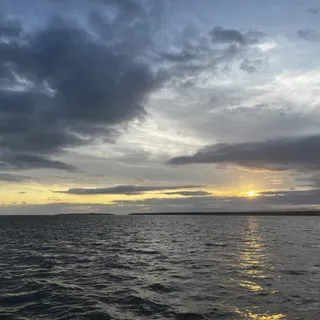 Avistamiento de Ballenas Jorobadas